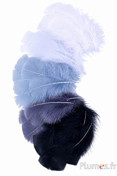 Kalkoen - 6-8 cm - grijstinten